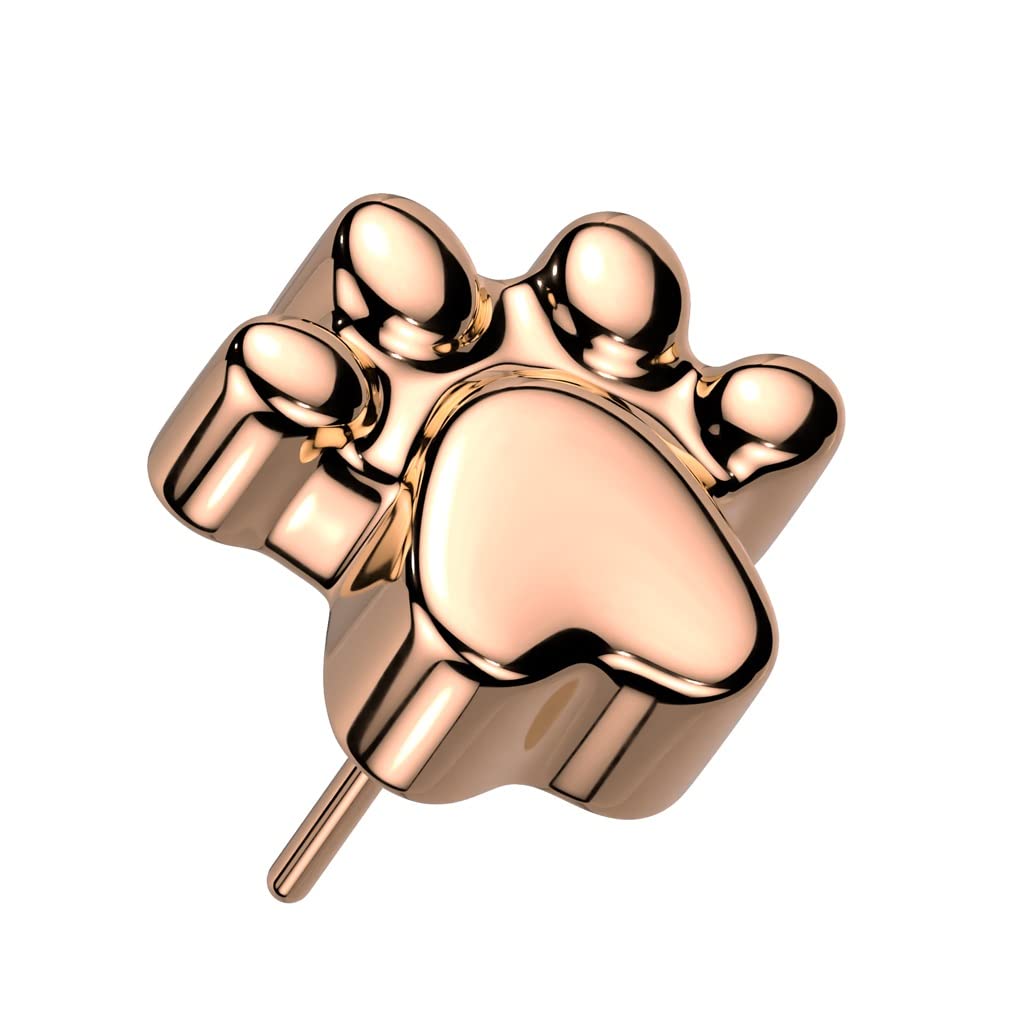 Push-In Aufsatz Tatze Gold Silber Schwarz Rosegold Titan Grade 23 Piercing Set Mehrfarbig Ohrstecker Labret Stud Straight Barbell