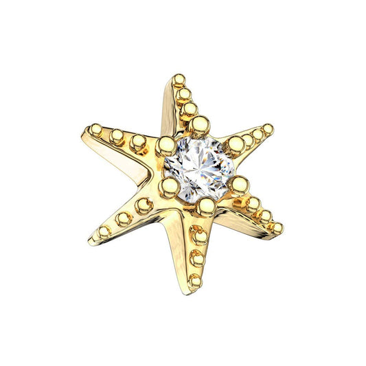 Dermal Anchor Aufsatz Hautanker Implantate Transdermal Microdermal Top Silber gelb gold rosé Stern Zirkonia Clear Edelstahl Chirurgenstahl 316L