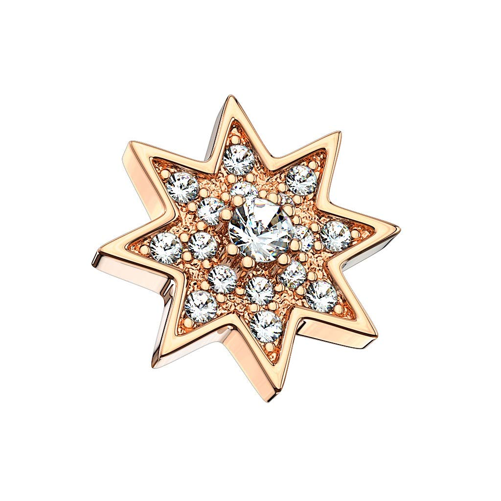 Dermal Anchor Aufsatz Hautanker Implantate Transdermal Microdermal Top Silber gold roségold Sonnenkranz Zirkonia Clear Edelstahl Chirurgenstahl 316L